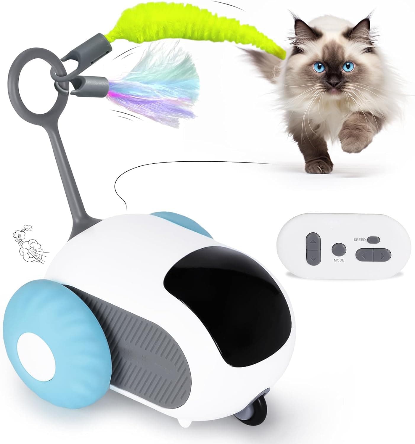 Cat-Dodging Robot Car