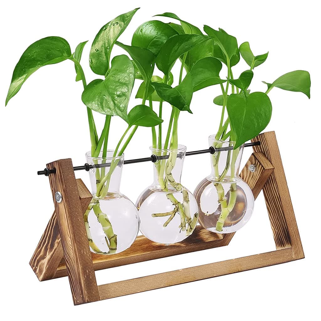 Glass Propagation Station